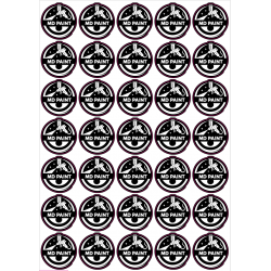 copy of Sticker MD PAINT...